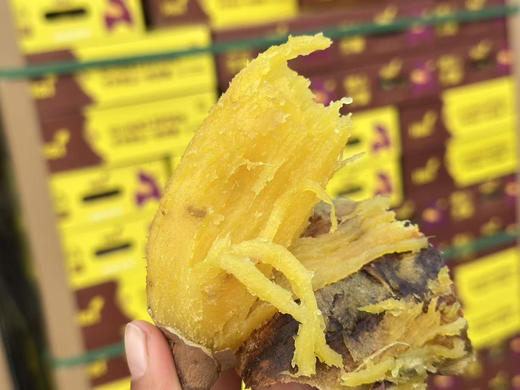 嘿山贡薯🍠
不够惊艳，怎么敢打扰。
云南板块海拔1800米一代纯种株长达180天的用心守候，千亩基地自有种植，吃到的不仅是甜，是云南的红土、高山湖的水，和基地十年的心血，推荐品尝👏 商品图3