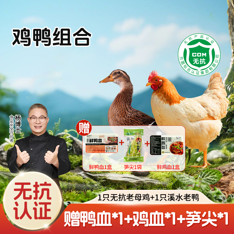 【杨博士 鸡鸭组合】杨博士散养无抗土鸡或土鸭（单只净重1.8-2.5斤/只）