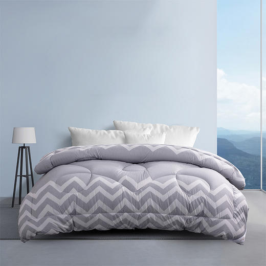 水星家纺家用床上用品DH典雅负离子抗菌冬被200cm*230cm 122991 商品图5
