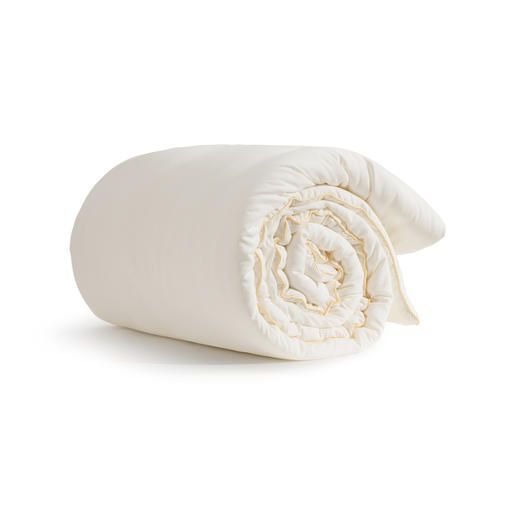 水星家纺 DH玉米软软四季被 200cm*230cm 126047 商品图0
