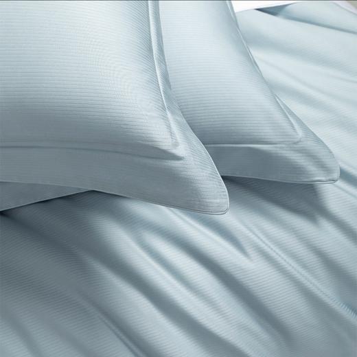 10楼堂皇    全棉本色提花条纹四件套--安纳    吊牌价2090-2290元  活动价499元（大小同价） 商品图1