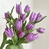 郁金香丨普罗旺斯丨10支 商品缩略图2