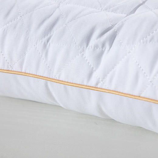 水星家纺 梵可黄荆子抗菌枕 74cm*48cm 舒适健康 草本枕123035 商品图3