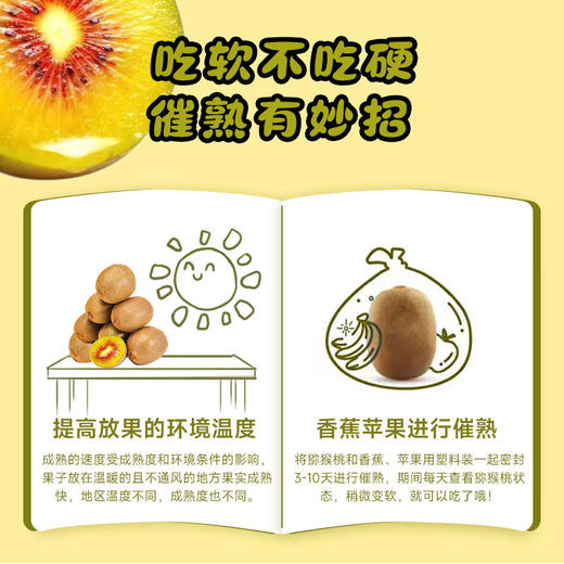 【巴蜀出品，必属精品】来自猕猴桃核心种植区 黄心/红心猕猴桃，一次吃到两种口感 奇异果 金果 现摘现发 满满维C 商品图10
