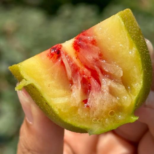 【巴蜀出品，必属精品】来自猕猴桃核心种植区 黄心/红心猕猴桃，一次吃到两种口感 奇异果 金果 现摘现发 满满维C 商品图1
