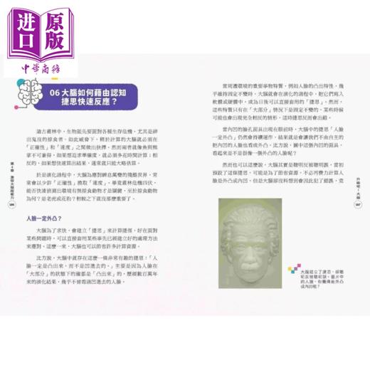 【中商原版】升级吧 大脑 激发大脑超能力 破解金鱼脑 脑腐陷阱 算法操控的秘密 谢伯让 亲子天下 港台原版 商品图4