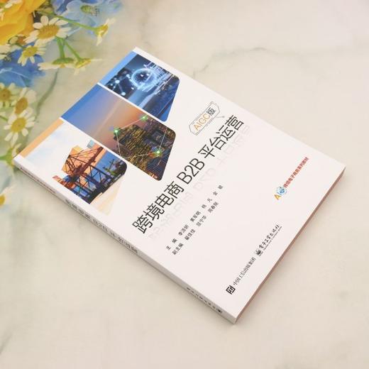跨境电商B2B平台运营 商品图1