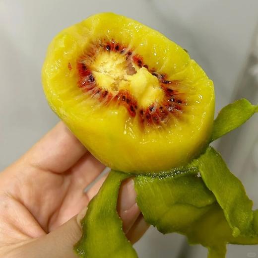 【巴蜀出品，必属精品】来自猕猴桃核心种植区 黄心/红心猕猴桃，一次吃到两种口感 奇异果 金果 现摘现发 满满维C 商品图0