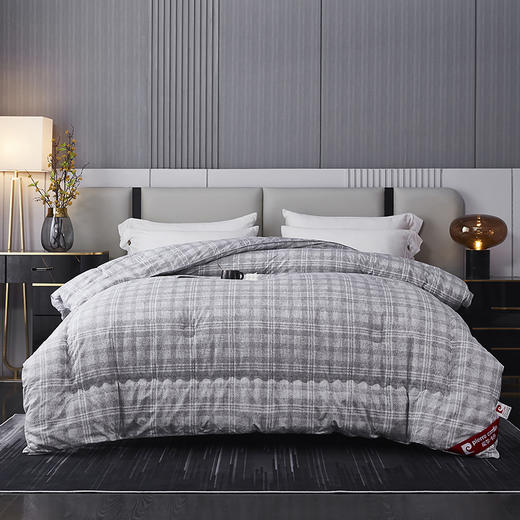 皮尔卡丹阳绒时尚被/格调PCADB-0116 商品图1