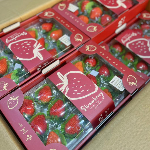 ［香至草莓］四川空运草莓🍓，香野品种，更软糯，香甜，风味更足 商品图1