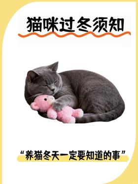 猫咪过冬一定要知道的事情