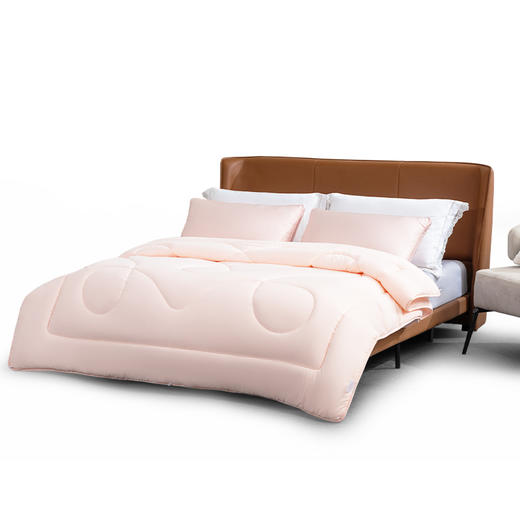 水星家纺床上用品DH远山含黛抗菌防螨冬被 200cm*230cm 126206 商品图5
