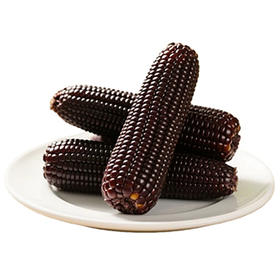 东北黑土地黑色甜糯玉米（单根12-14cm）