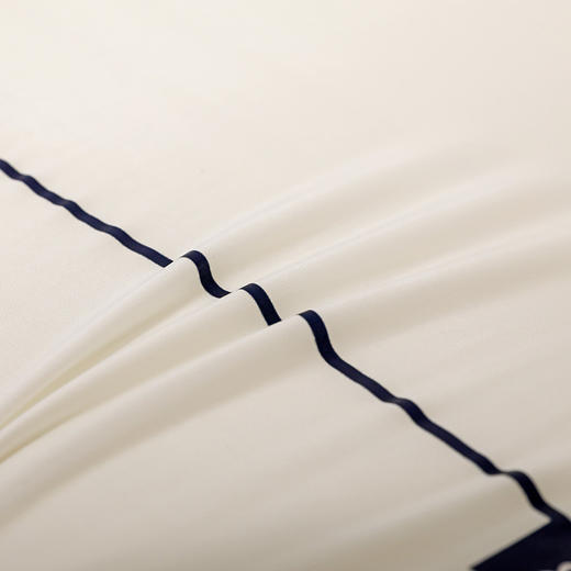 皮尔卡丹 零压枕 PCAZ-02527 商品图11