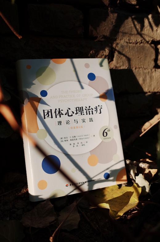 万千心理·团体心理治疗：理论与实践（原著第6版） 商品图3
