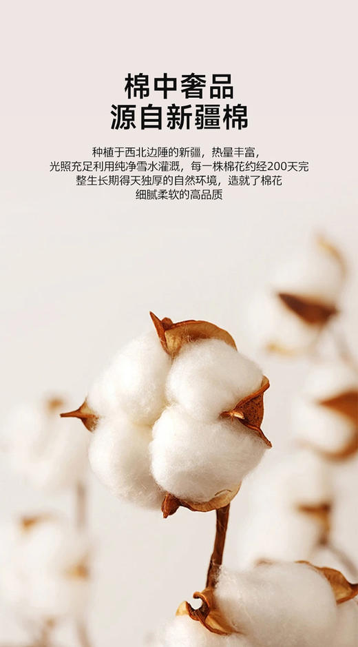 無印良品A类新疆棉花被 商品图6