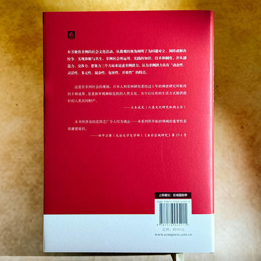 文化平息纷争:不完整性与拼凑的实践 商品图3