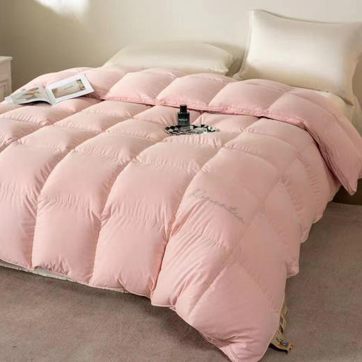 LSN高档鹅绒被 商品图0