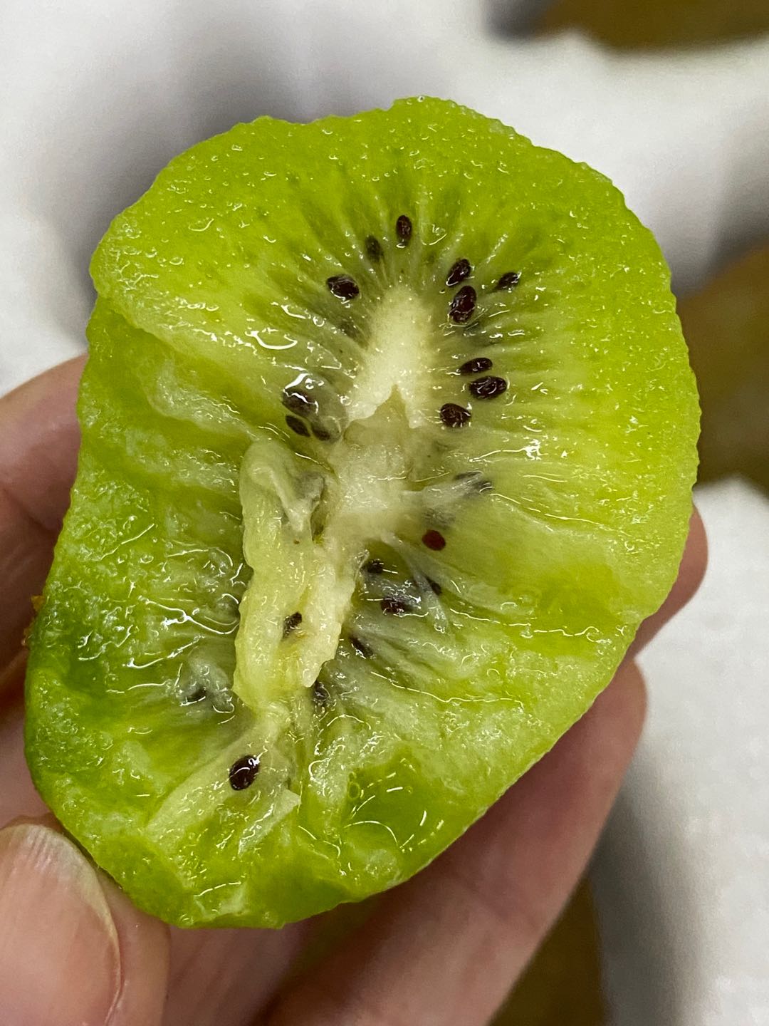 周四取货：【蜂蜜熊瑞玉即食猕猴桃】一盒5只左右，超好吃的猕猴桃！肉厚，甜而多汁！