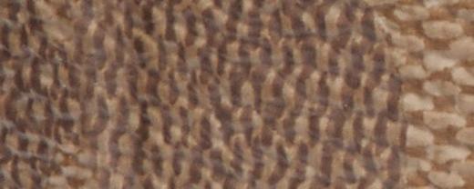 COACH 腰带男  76428-KH/BK42-F 经典老花. 商品图2