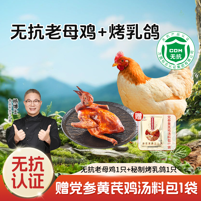 【杨博士自营 暖身鸡鸽双宝】无抗老母鸡*1+烤鸽*1 赠党参黄芪鸡汤包*1