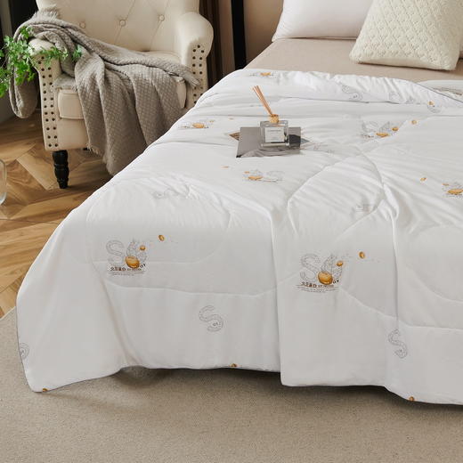 皮尔卡丹云锦大豆蛋白被PCAZ-007 商品图4