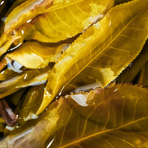 【號票】2018年铜箐河高杆茶界天花板发烧友茶友高端圈的传说顶级藏品，357克/饼*5 商品图6