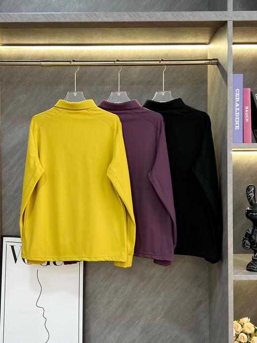 点此购买 比音勒芬秋冬季男士时尚休闲弹力加绒保暖翻领POLO衫 ss 338075 商品图4