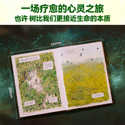 【樊登好书】树的秘密生命（赠观察笔记本） 商品图2