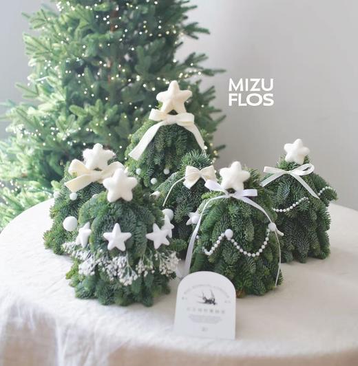 20-30cm 丹麦诺贝松圣诞树（快递发出） 商品图1