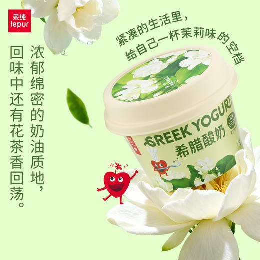 乐纯希腊低温酸奶冷藏储存全家福多口味套装低温酸奶家庭装 商品图3