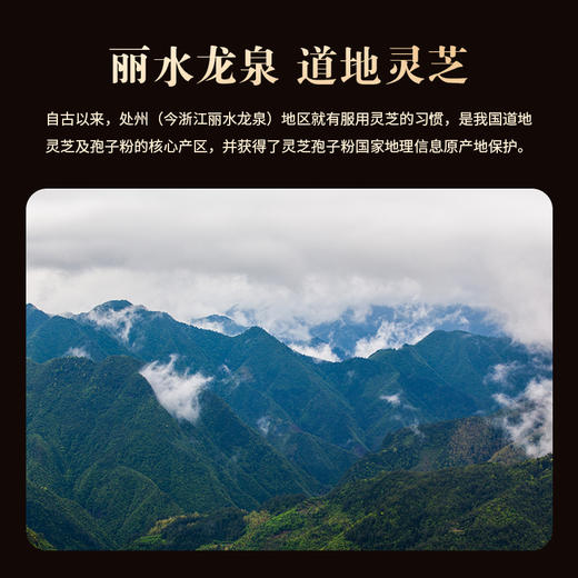 劲牌持正堂破壁灵芝孢子粉胶囊 商品图6