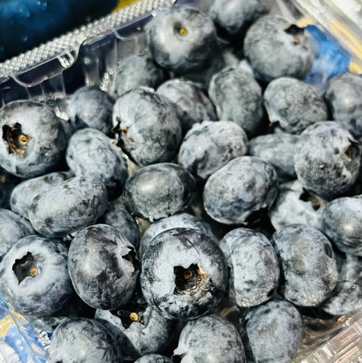 【限量活动】 18mm 国产新鲜蓝莓 1箱12盒*125g  脆甜 护眼  包装随机发 商品图2