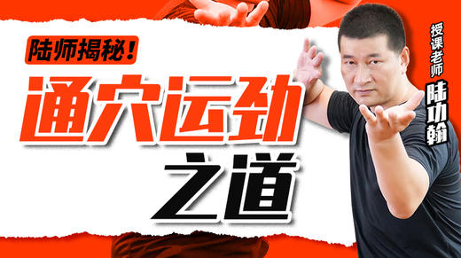 陆师揭秘：通穴运劲之道 商品图0