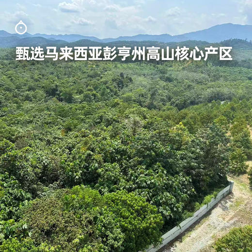 企鹅市集|马来西亚 猫山王鲜榴莲 空运进口 新鲜浓郁香甜 商品图4