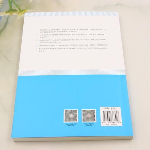 无形资产评估:理论与实务(第二版) 商品图2