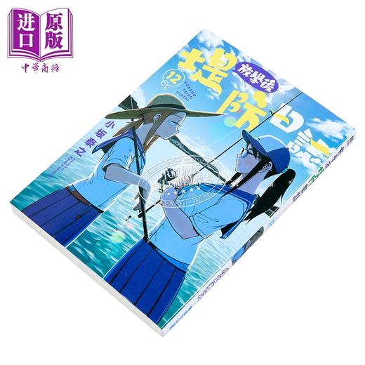 【中商原版】漫画 放学后堤防日志 第12集 小坂泰之 台版漫画书 青文出版 商品图1