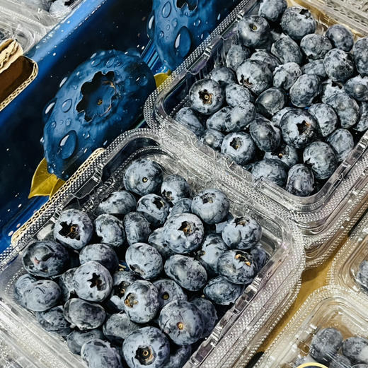 【限量活动】 18mm 国产新鲜蓝莓 1箱12盒*125g  脆甜 护眼  包装随机发 商品图4