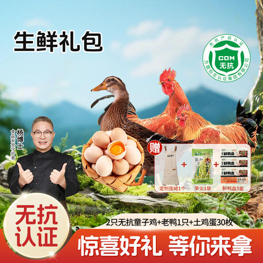 【生鲜大礼包】杨博士深山散养童子鸡河鸭鸡蛋综合礼包  无抗童子鸡*2+鸭子*1+鸡蛋30枚（赠定制围裙*1+笋尖*1+鸭血*3） 商品图0
