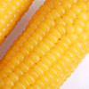 银鹤有机黄糯玉米/黑糯玉米/白糯玉米(多规格可选) 商品缩略图4