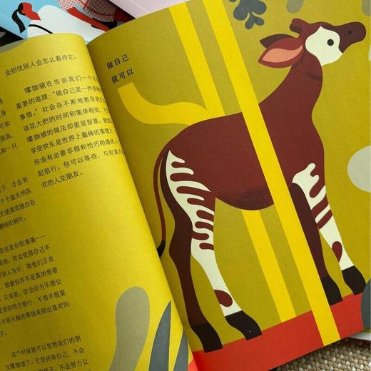 【樊登好书】“人生学校”系列（全8册） 商品图1