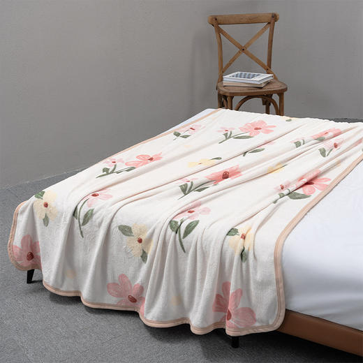 水星家纺DH薇风法兰绒毯 180*200cm 126361 商品图4