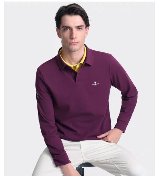 点此购买 比音勒芬秋冬季男士时尚休闲弹力加绒保暖翻领POLO衫 ss 338075 商品图6