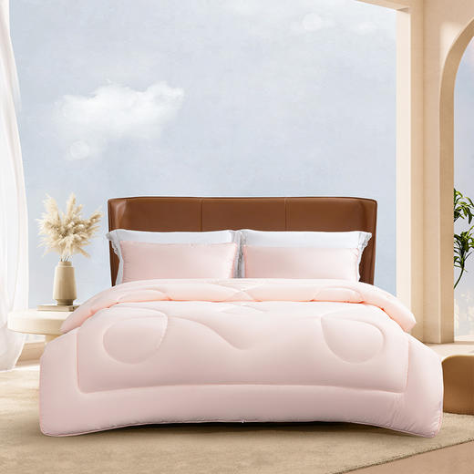 水星家纺床上用品DH远山含黛抗菌防螨冬被 200cm*230cm 126206 商品图6