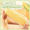 甜糯玉米农科玉 商品缩略图9