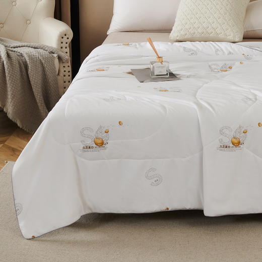 皮尔卡丹云锦大豆蛋白被PCAZ-007 商品图1