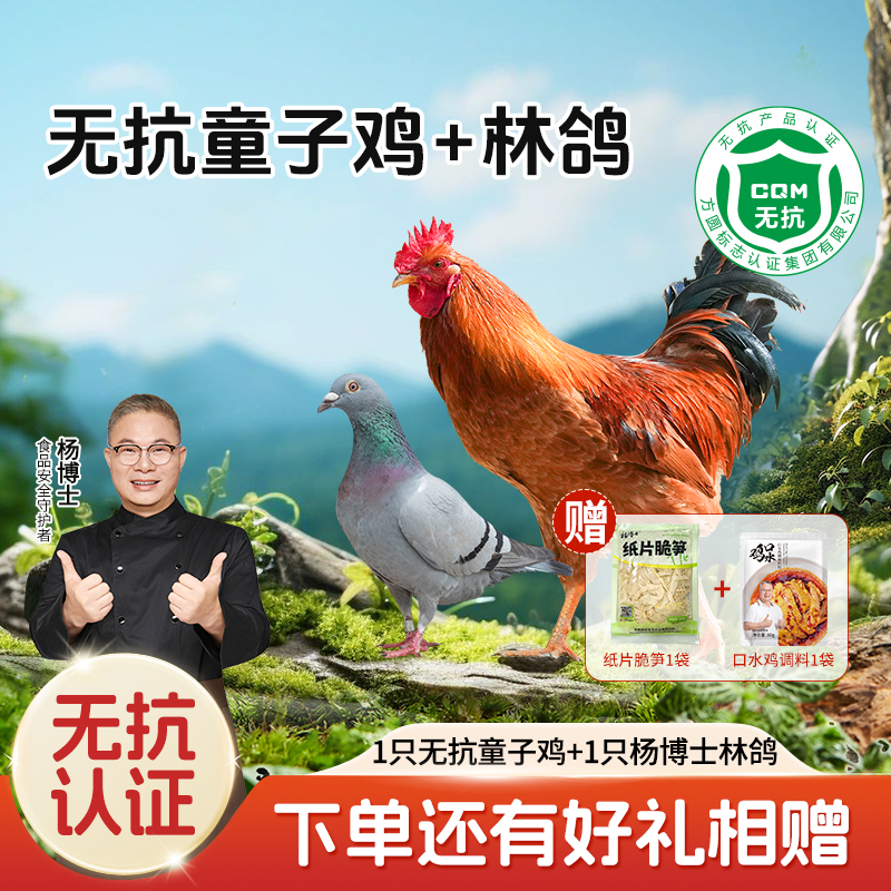 【杨博士自营 鲜鸽嫩鸡】350g鸽子*1只无抗童子鸡*赠1袋纸片笋*1+口水鸡调料*1