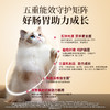 【金钻烘焙粮】宽福 鲜肉护卫猫粮 五种肉 专利益生菌呵护猫咪肠胃  健康护理养护温和营养 五种能效 硫酸软骨素 助力强健骨骼 自然食谱系列 商品缩略图2