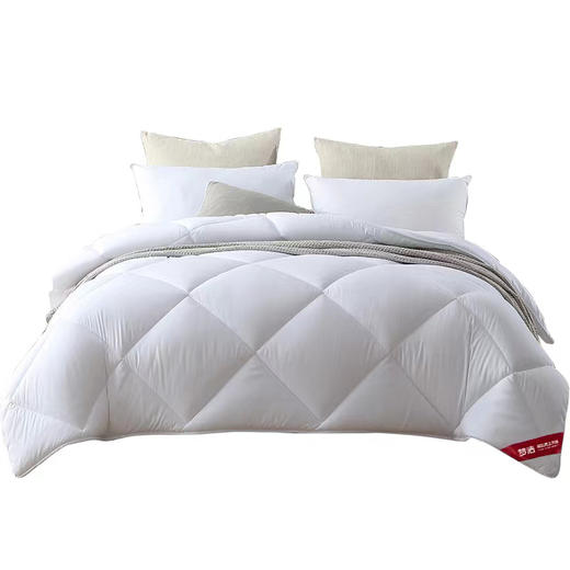 梦洁家纺抗菌七孔大豆被200*230cm 商品图2