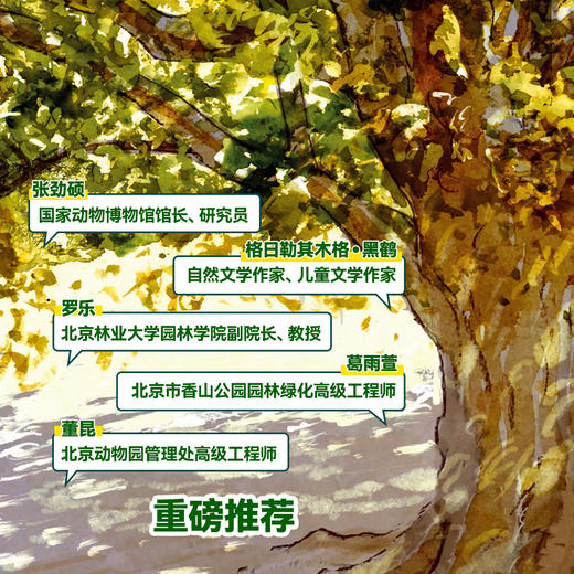 【樊登好书】树的秘密生命（赠观察笔记本） 商品图5